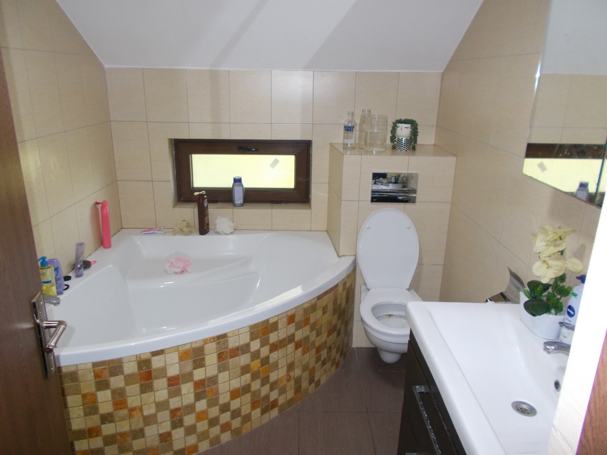 imobiliare timisoara