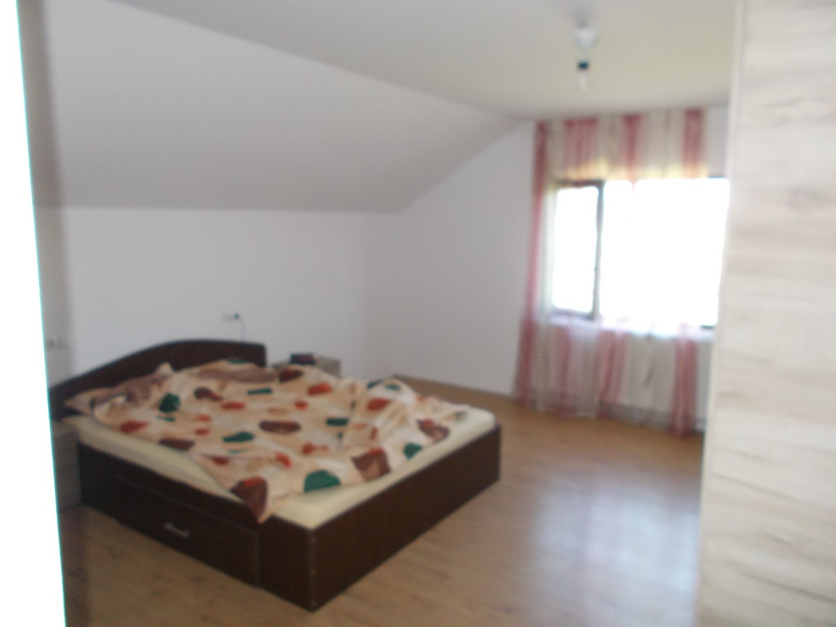 imobiliare timisoara