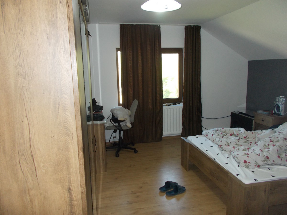 imobiliare timisoara