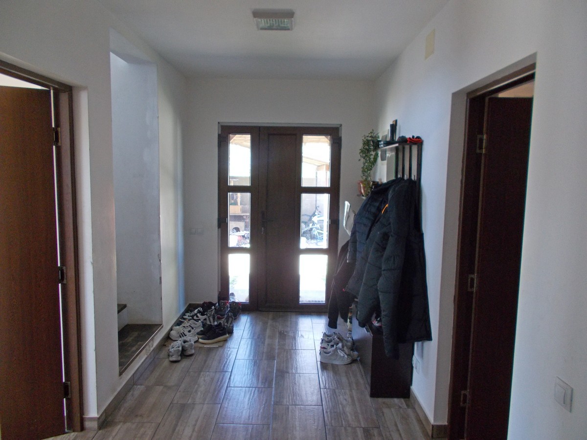 imobiliare timisoara