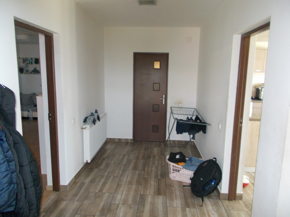 imobiliare timisoara