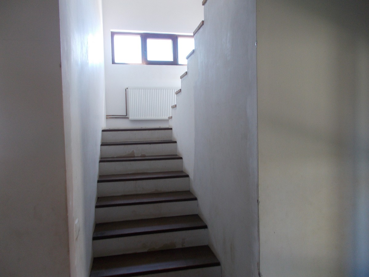 imobiliare timisoara