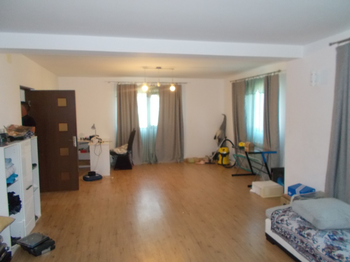 imobiliare timisoara