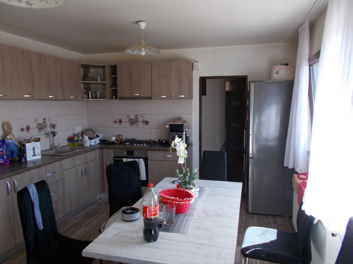 imobiliare timisoara