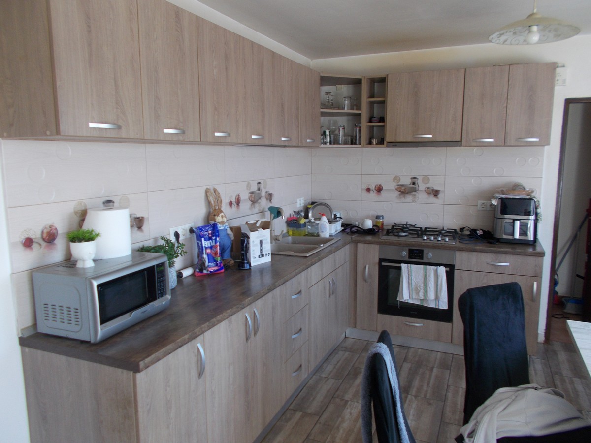 imobiliare timisoara