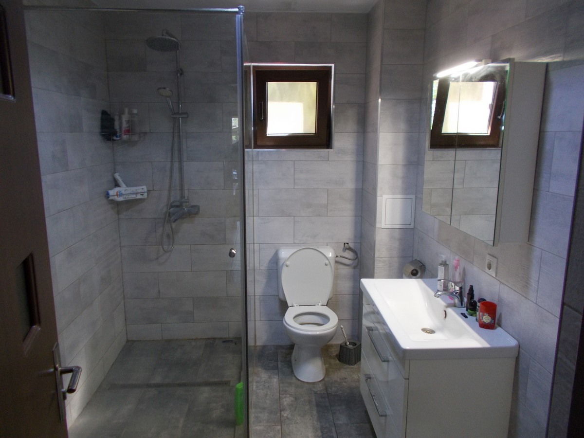 imobiliare timisoara