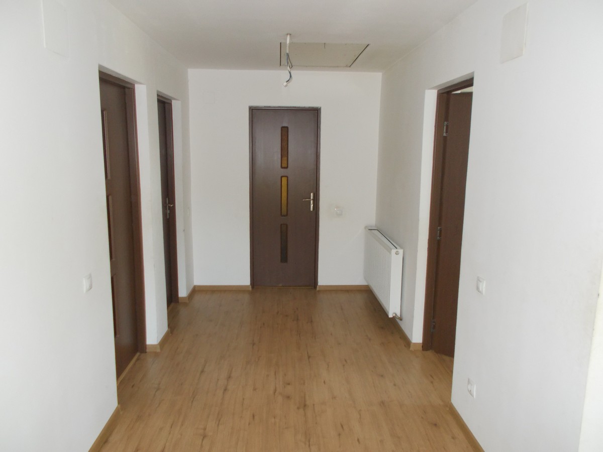 imobiliare timisoara