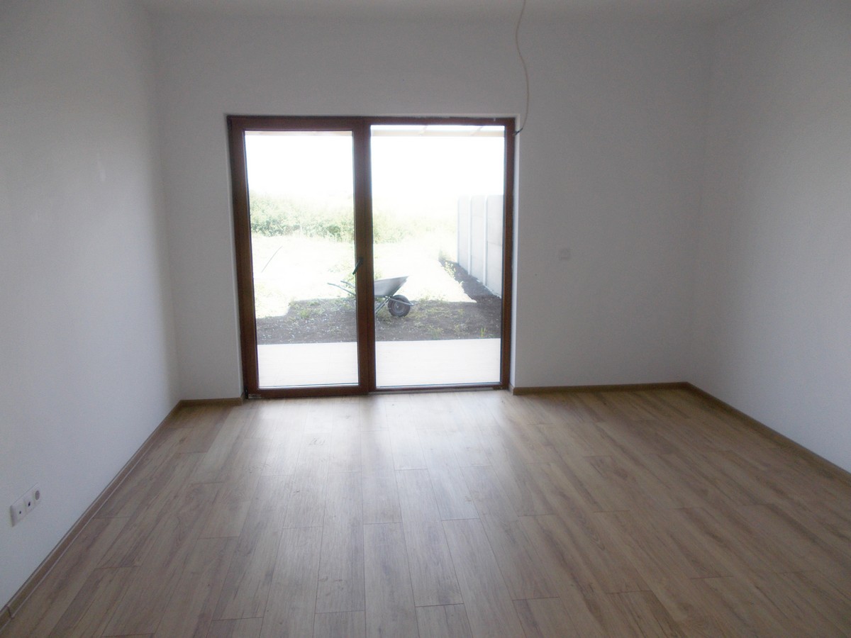 imobiliare timisoara
