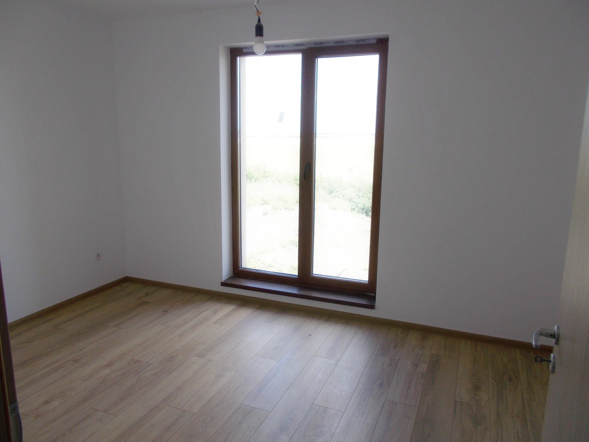imobiliare timisoara