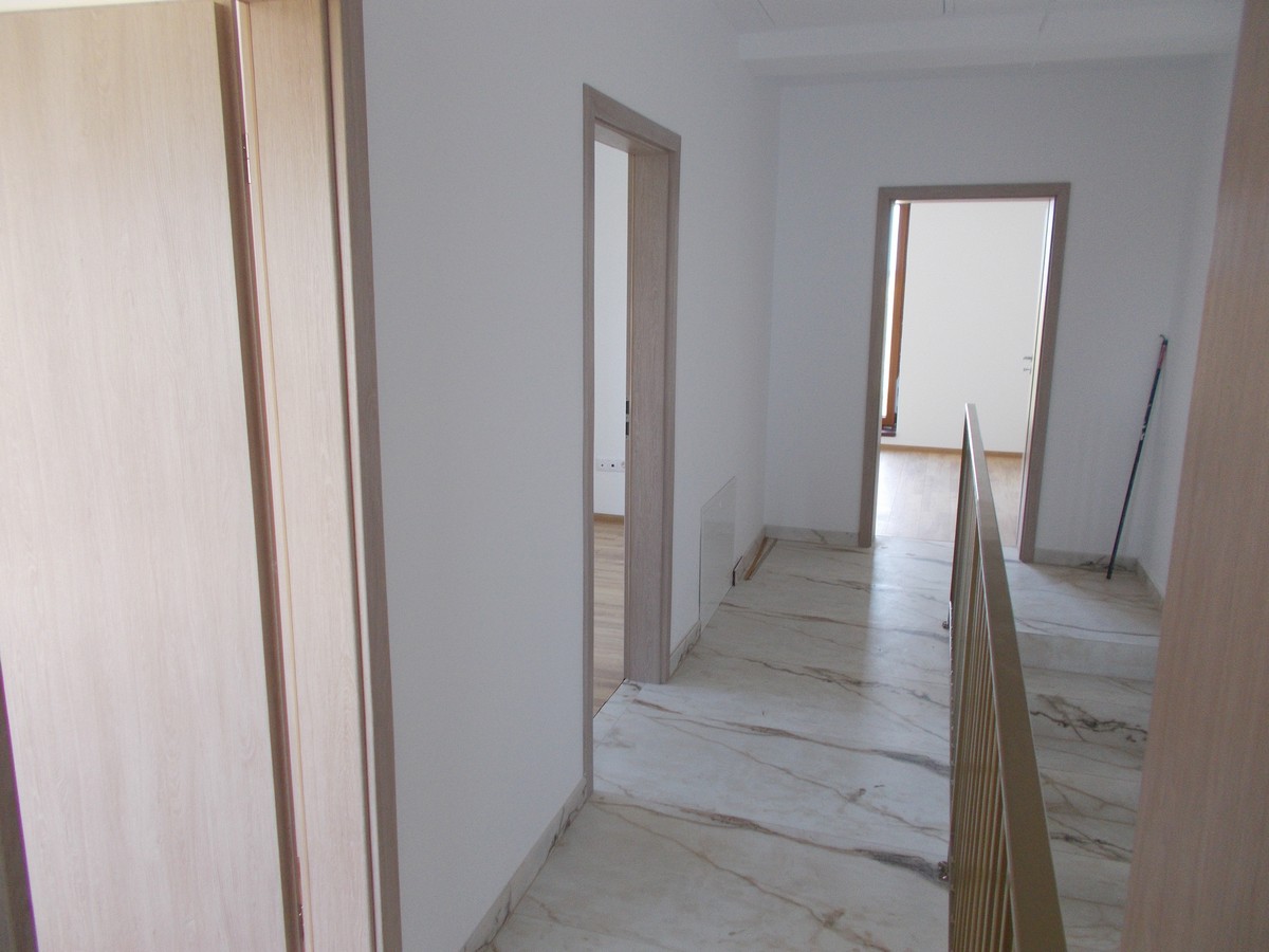 imobiliare timisoara