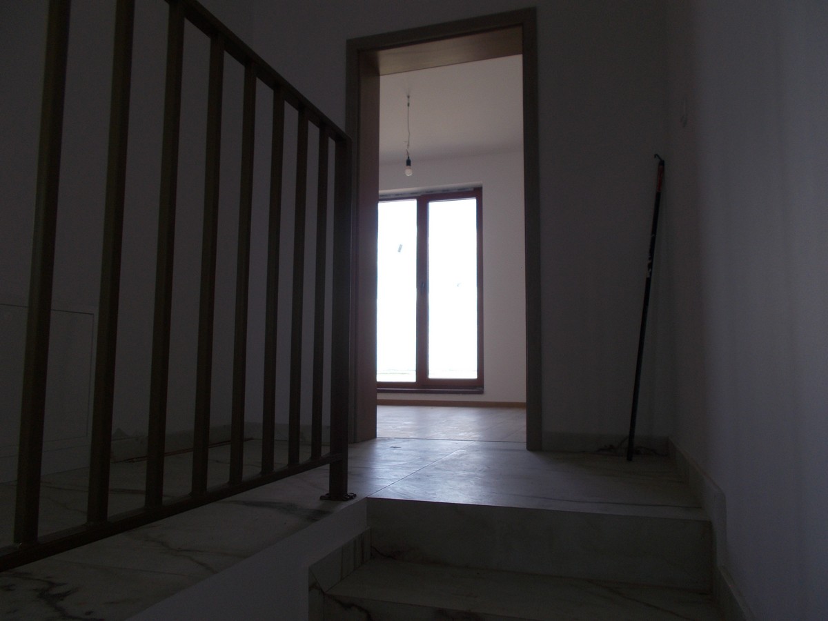 imobiliare timisoara