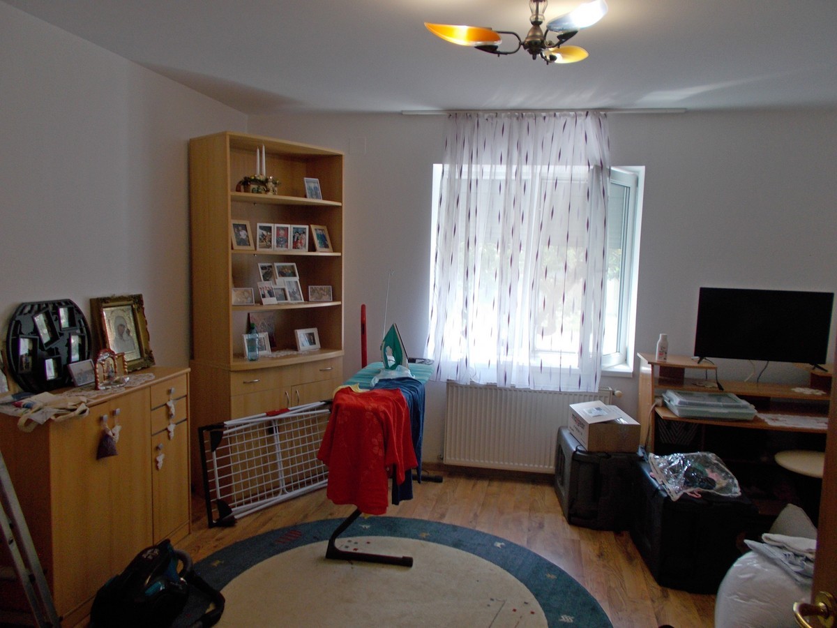 imobiliare timisoara