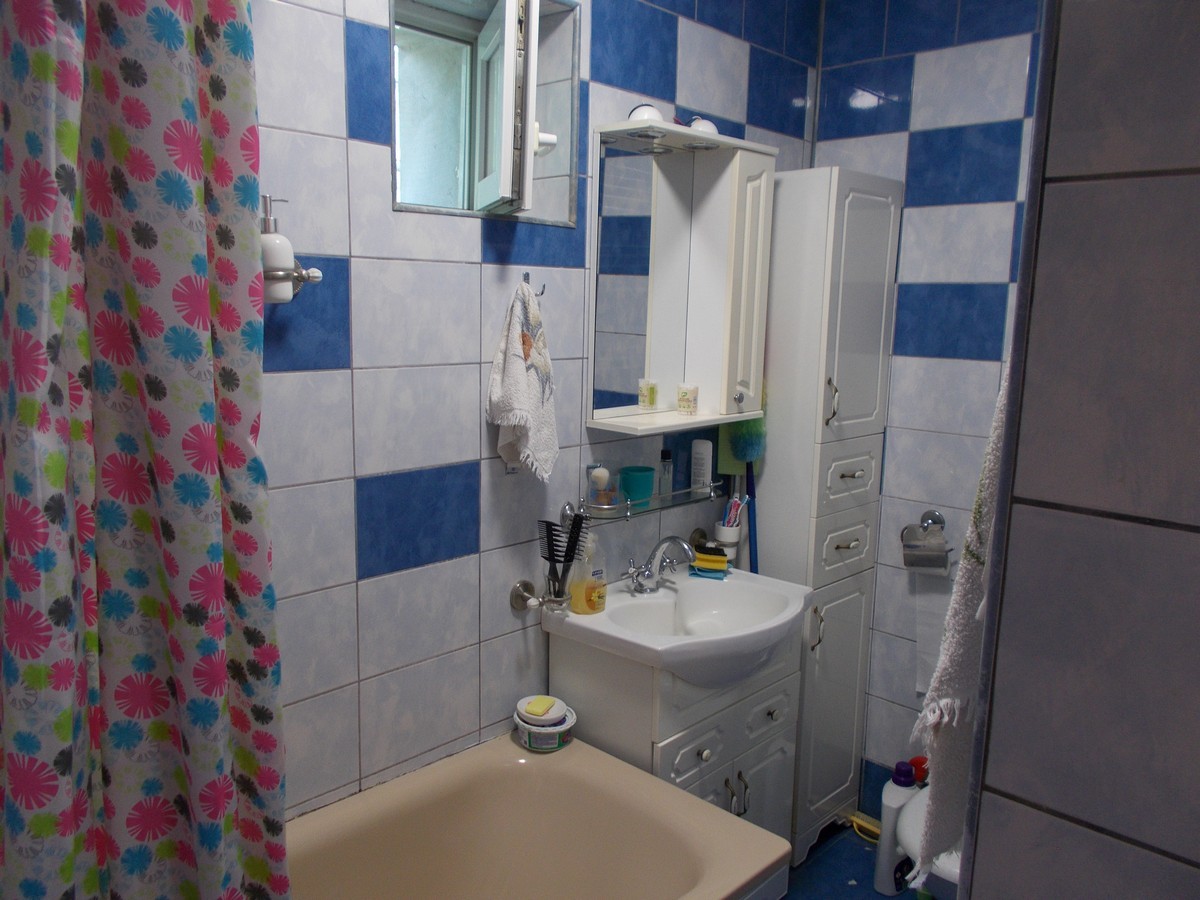 imobiliare timisoara