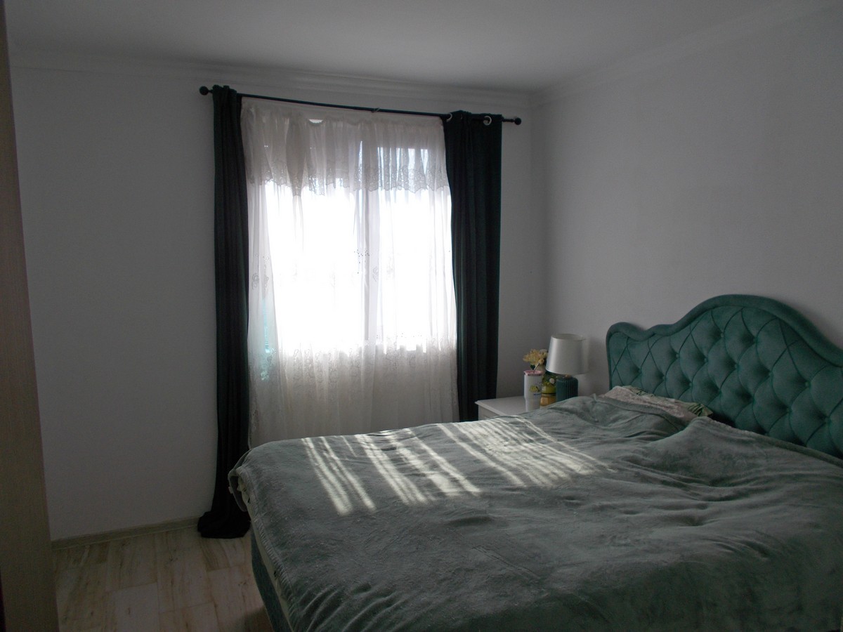 imobiliare timisoara