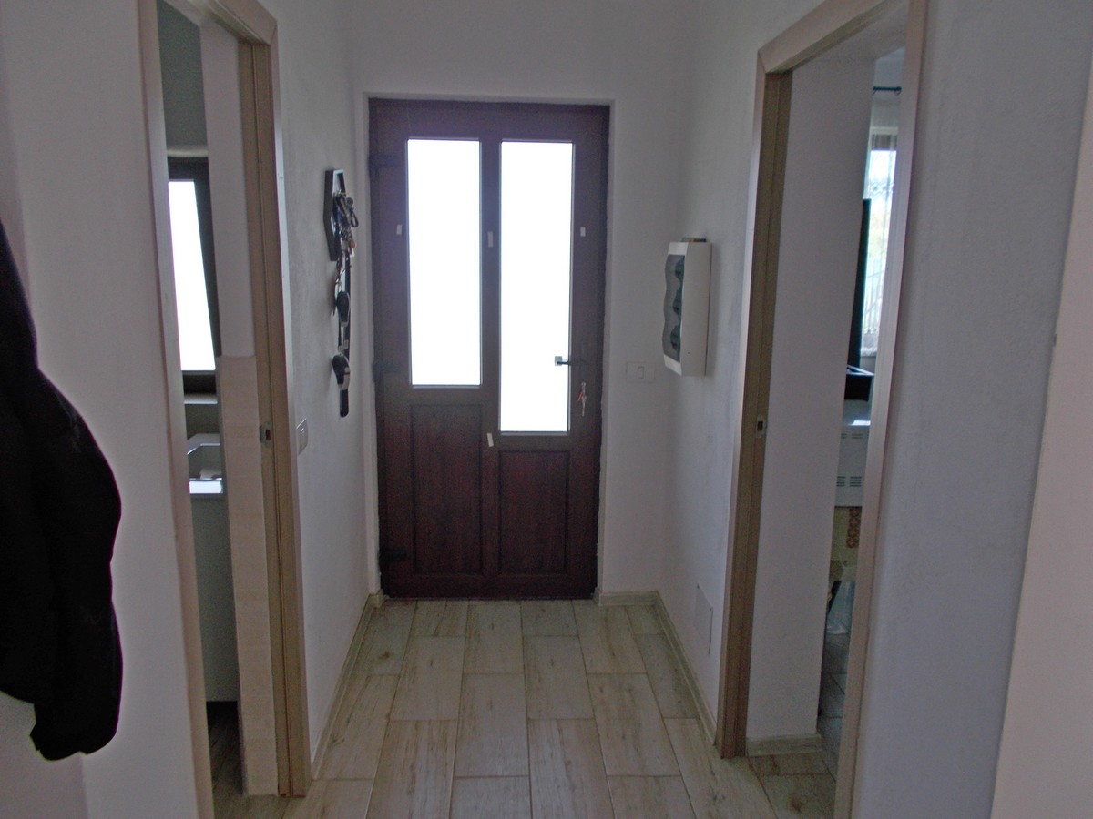 imobiliare timisoara