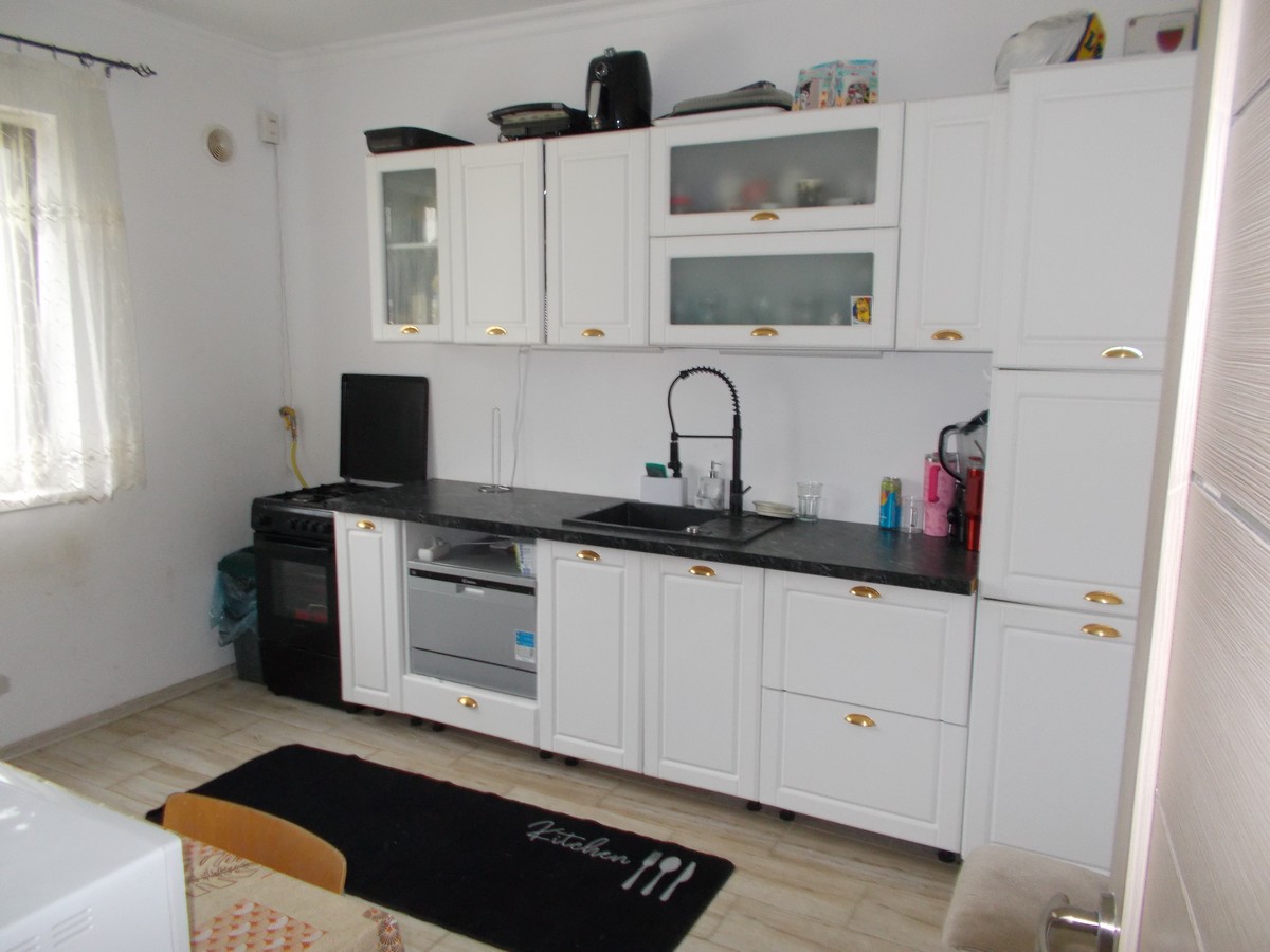 imobiliare timisoara