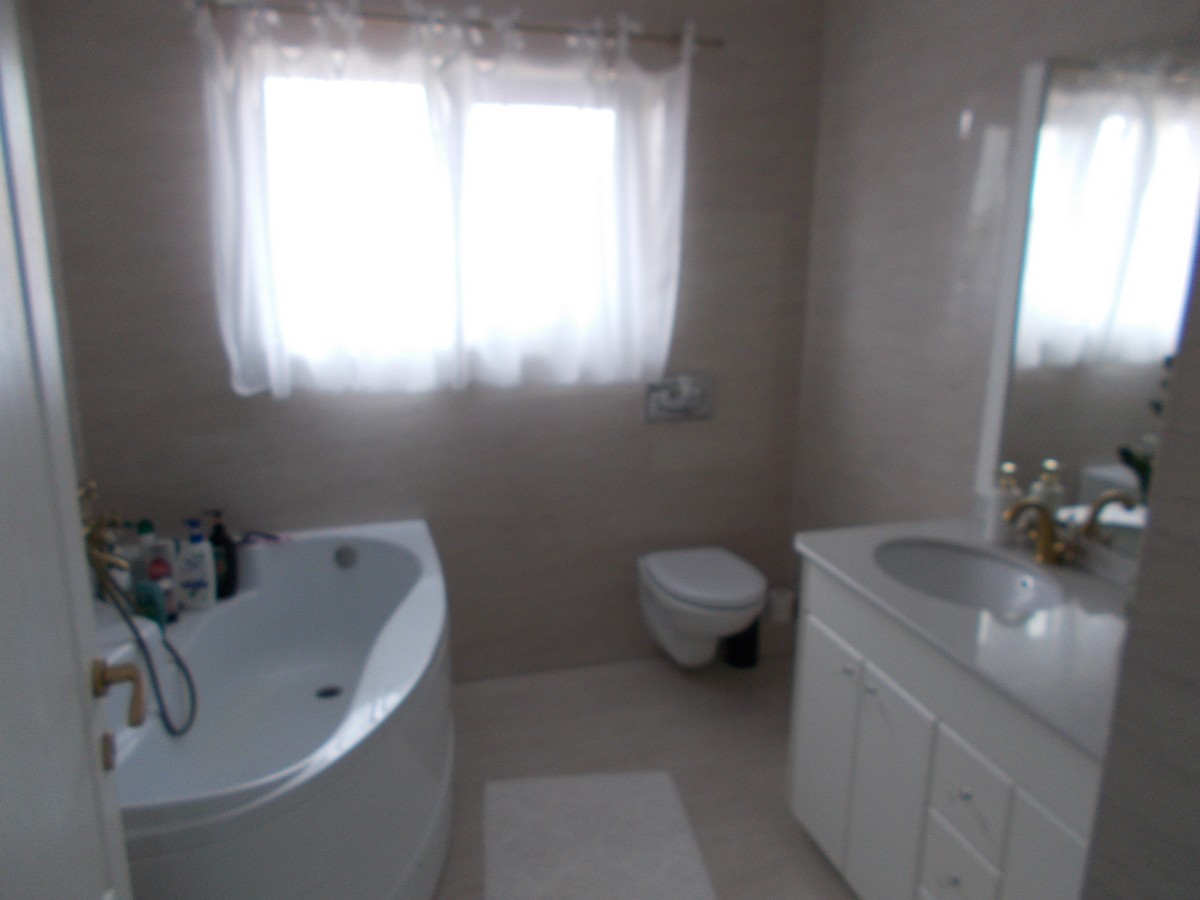 imobiliare timisoara
