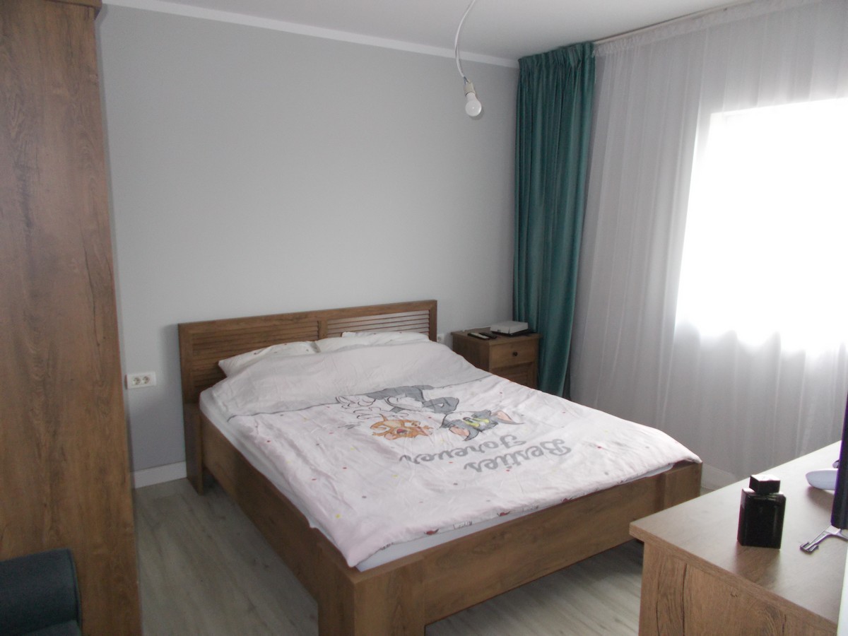 imobiliare timisoara