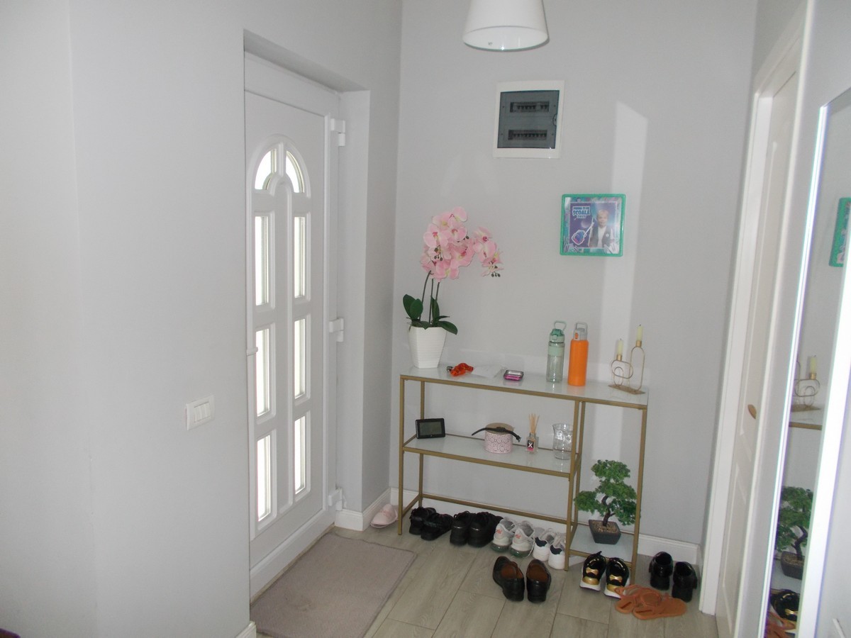 imobiliare timisoara