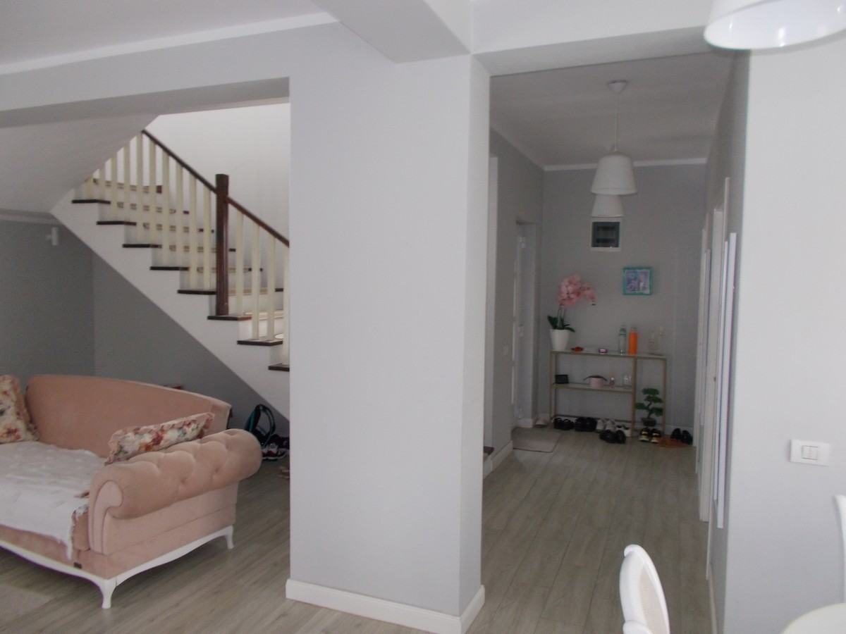 imobiliare timisoara