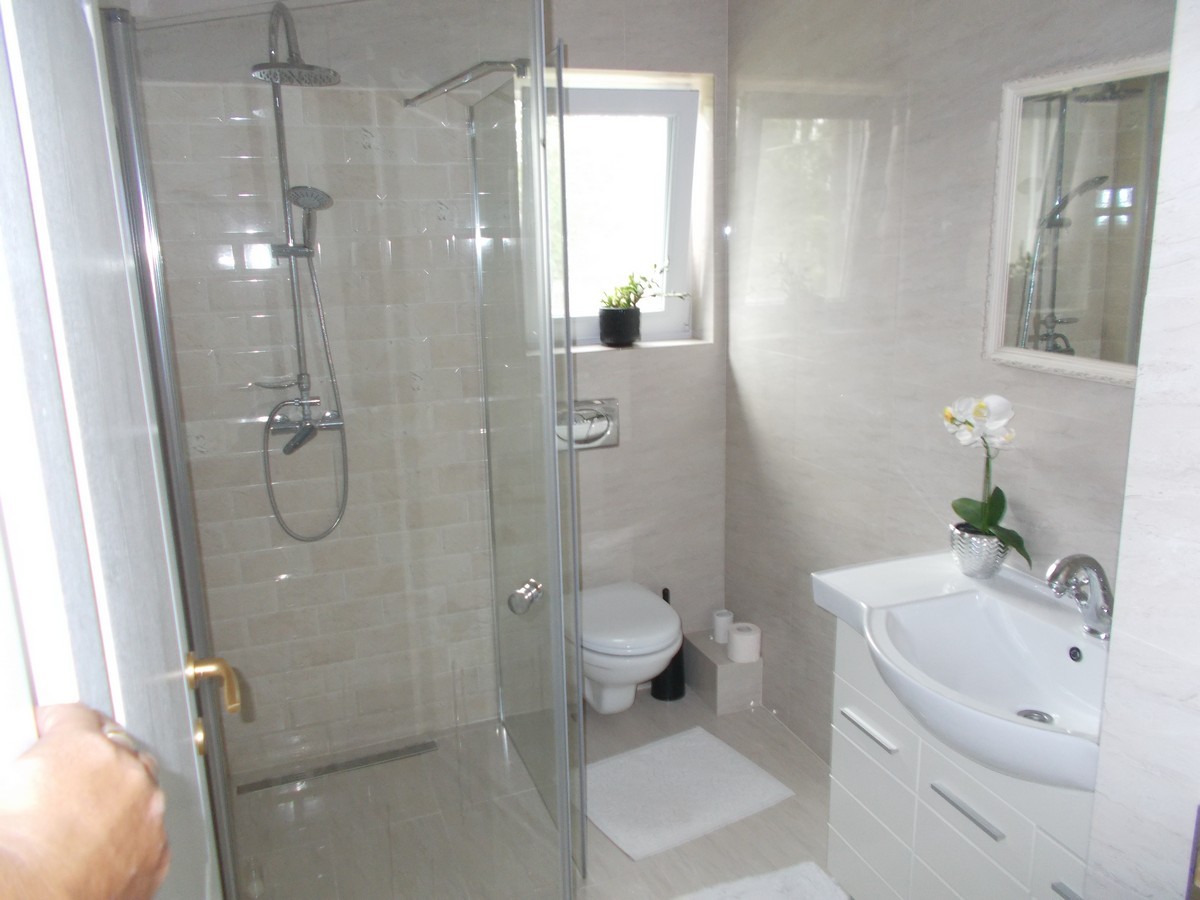 imobiliare timisoara