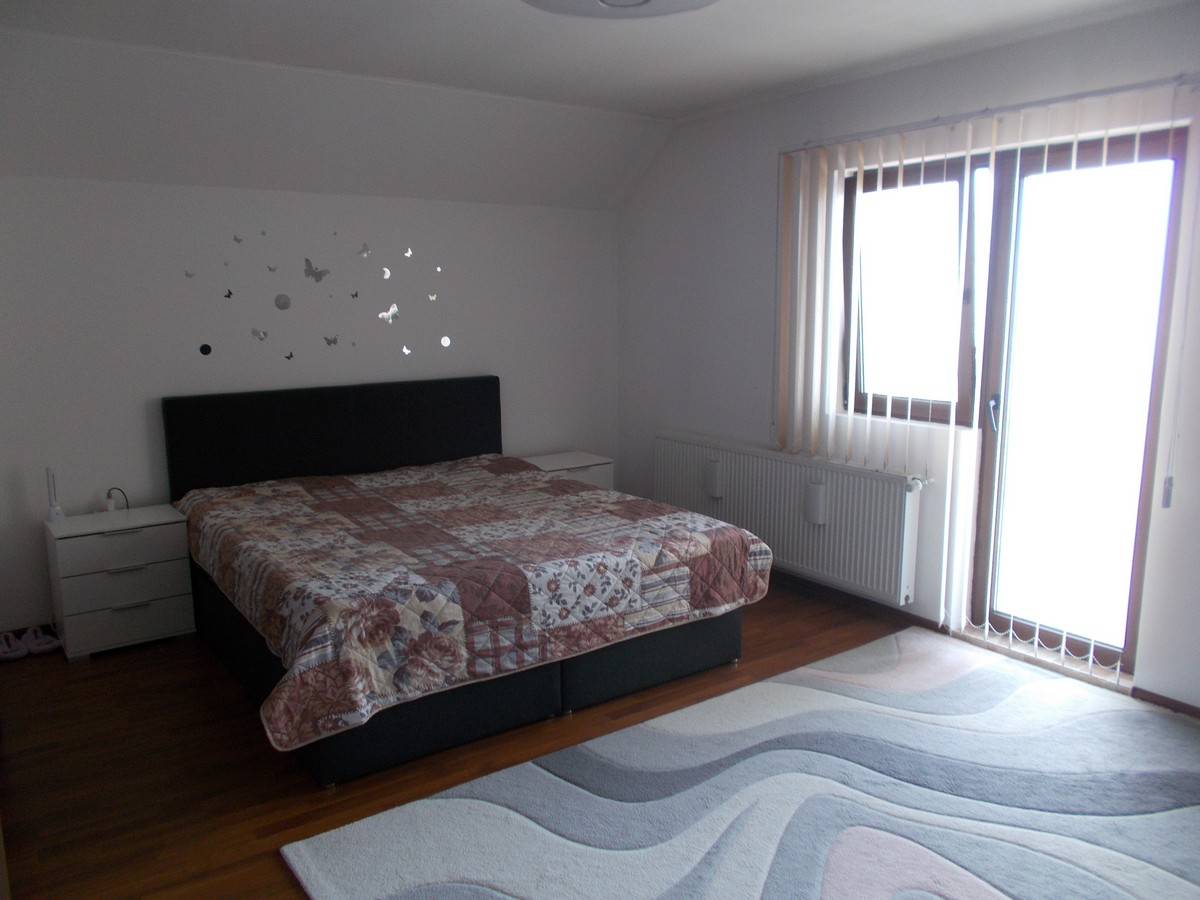 imobiliare timisoara