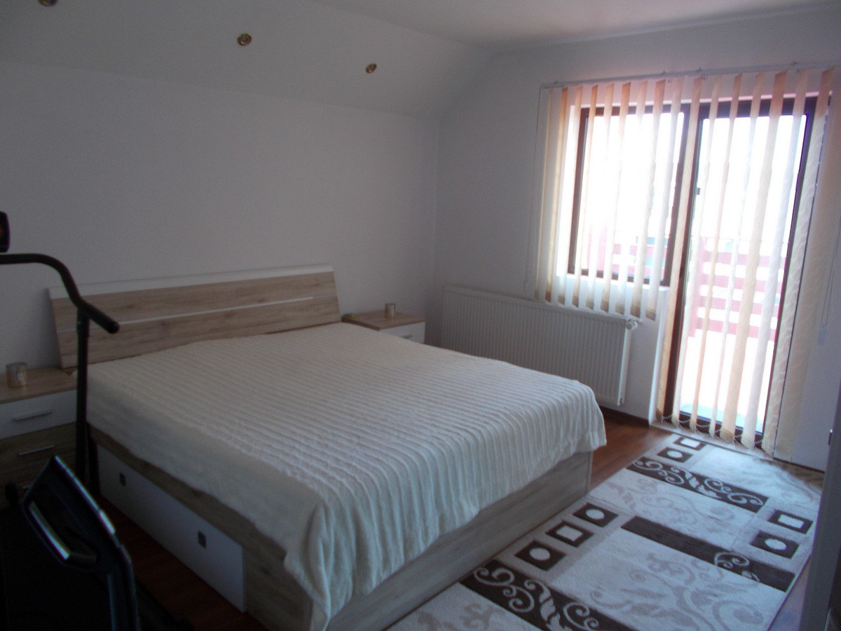 imobiliare timisoara