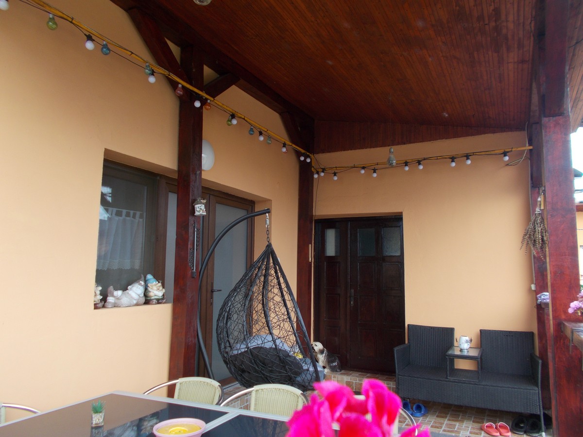 imobiliare timisoara