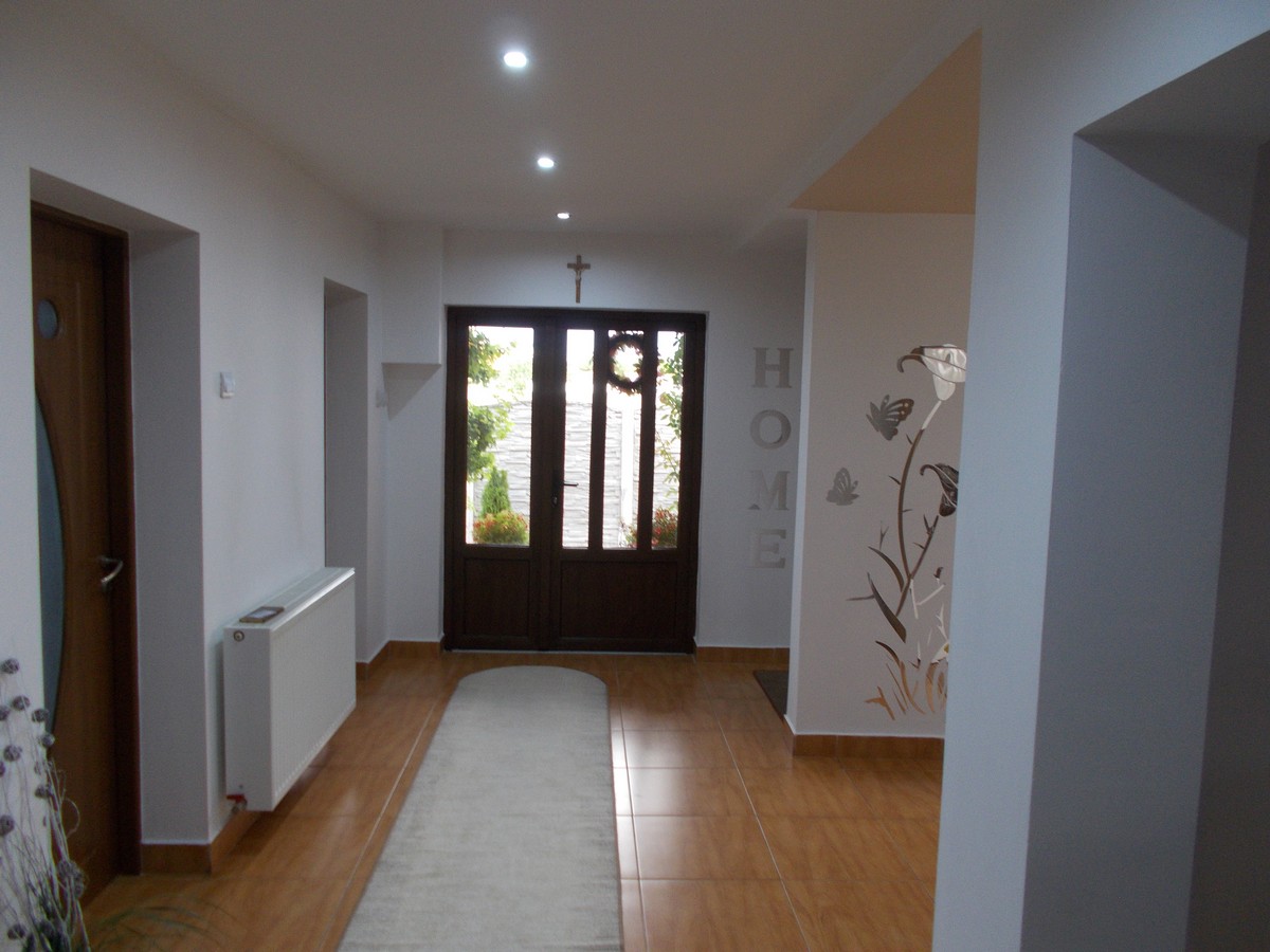 imobiliare timisoara