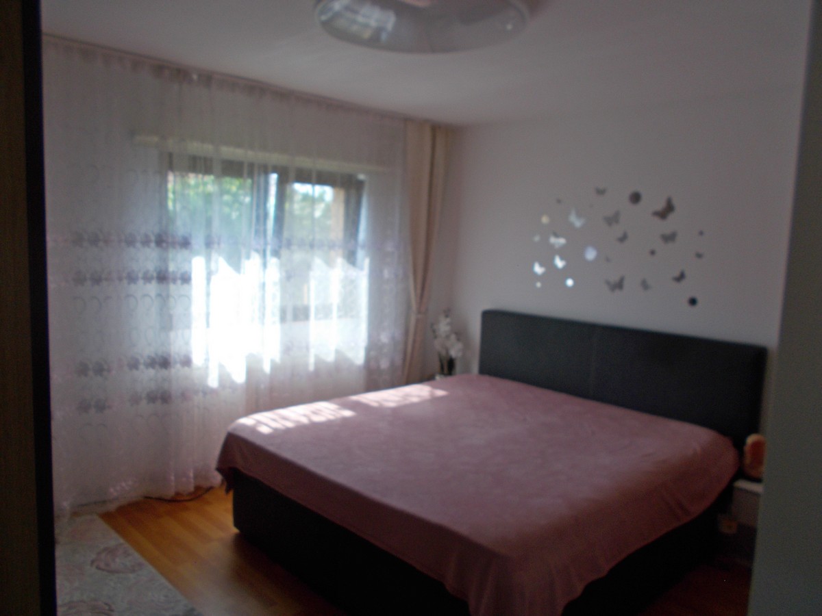 imobiliare timisoara