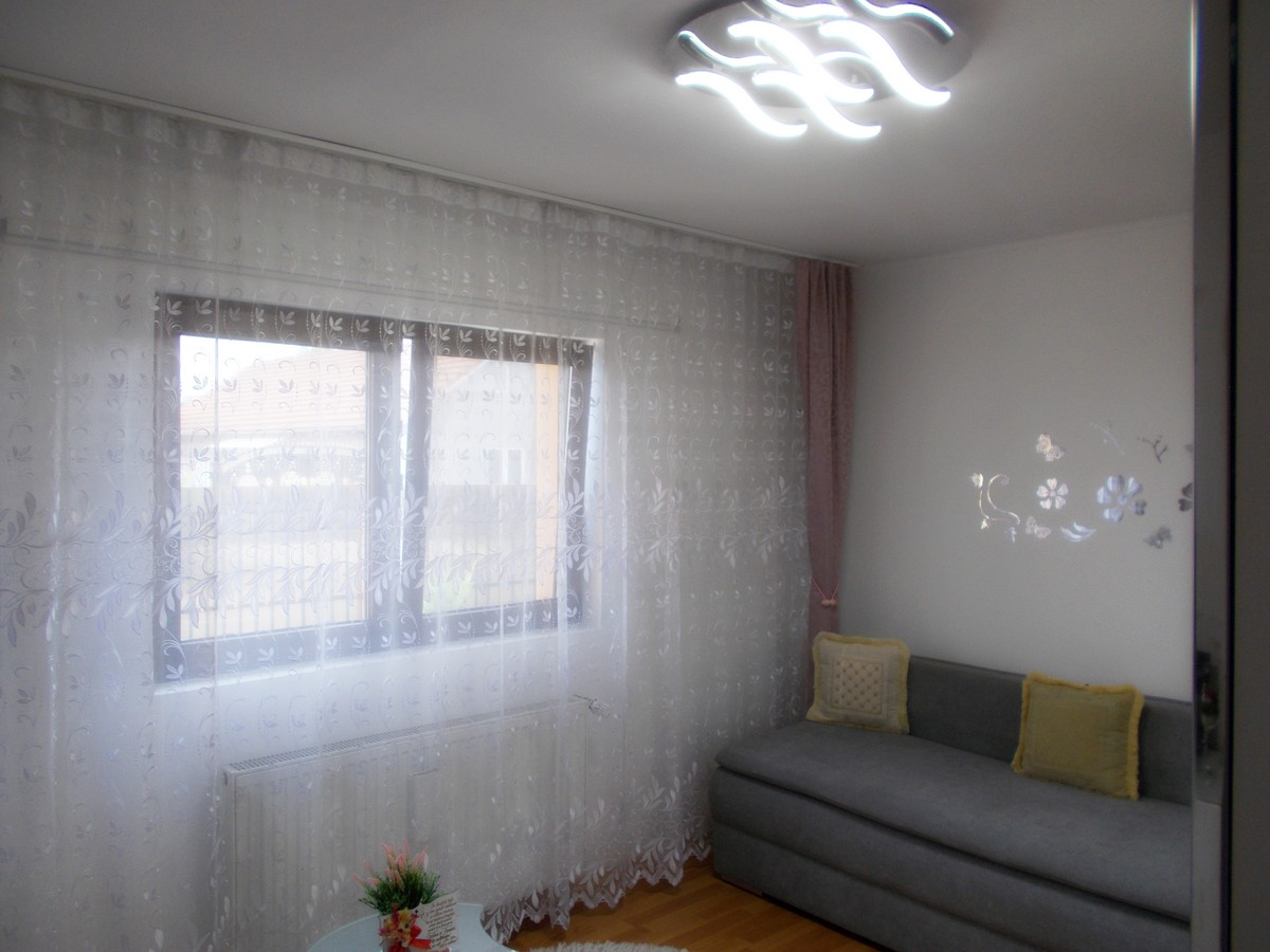 imobiliare timisoara