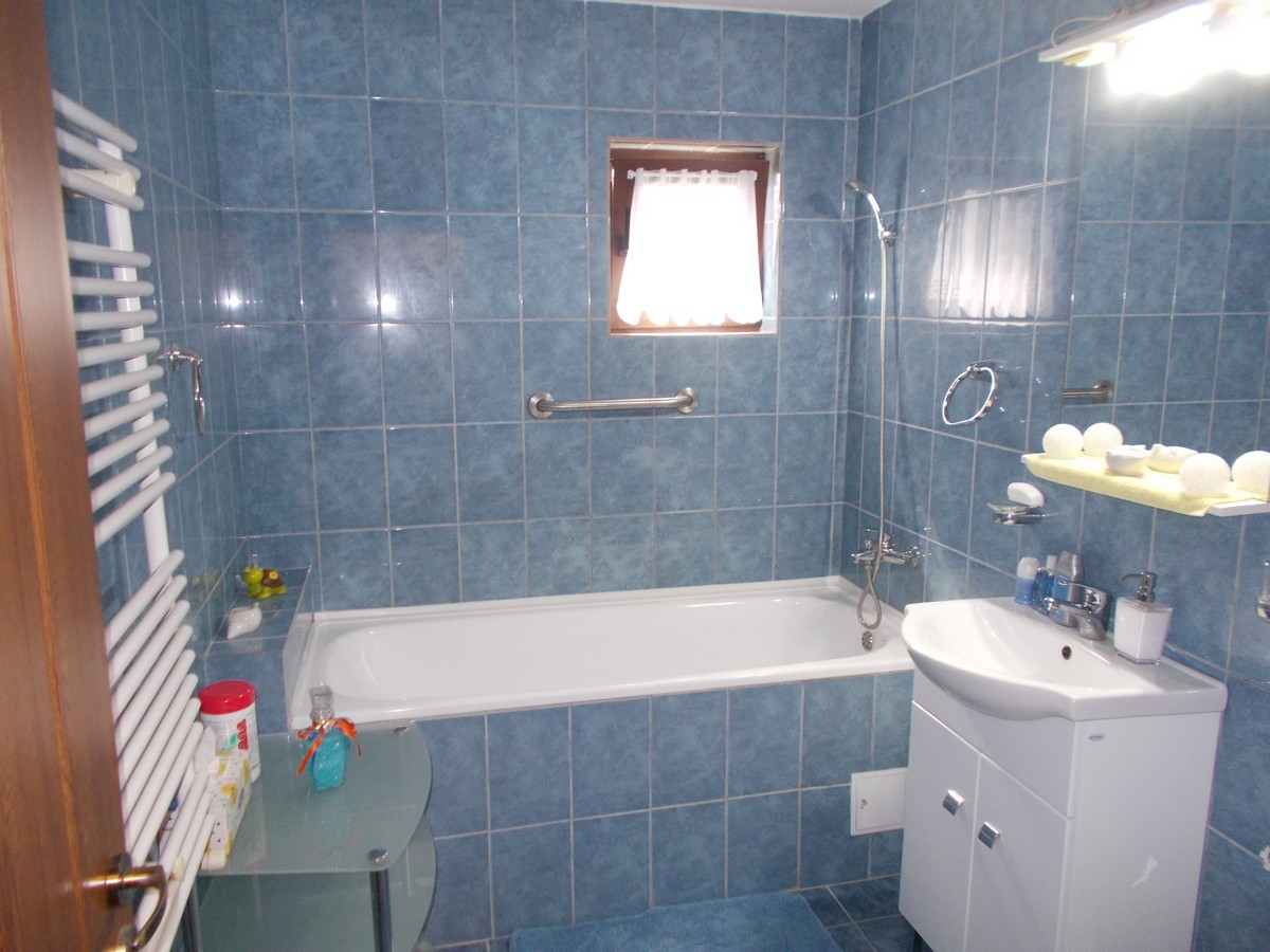 imobiliare timisoara