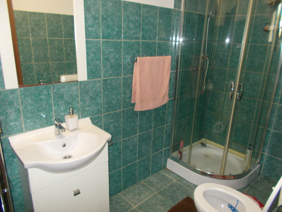 imobiliare timisoara