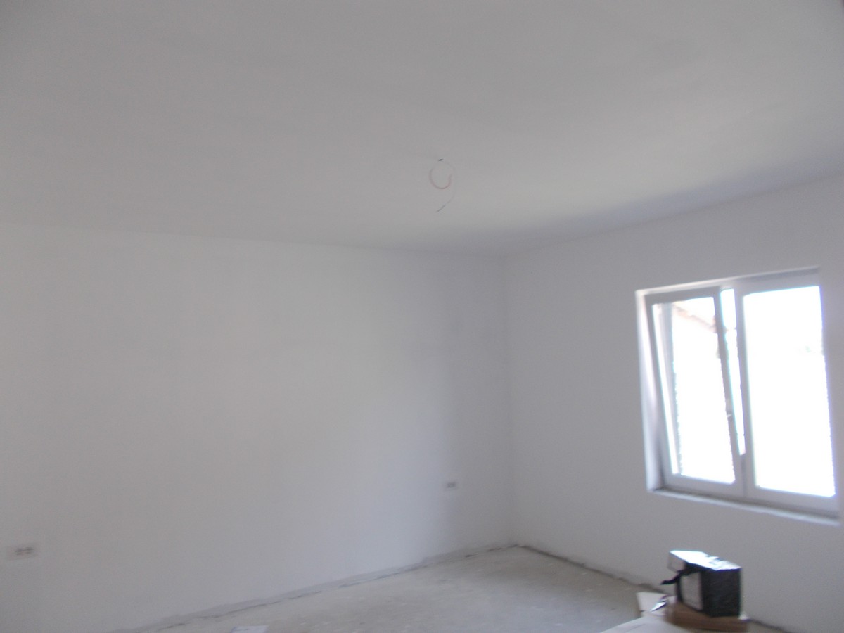 imobiliare timisoara