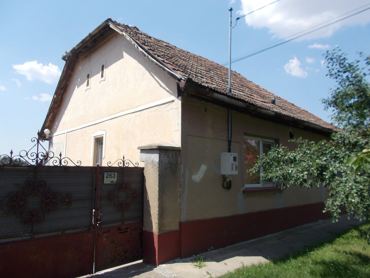 imobiliare timisoara