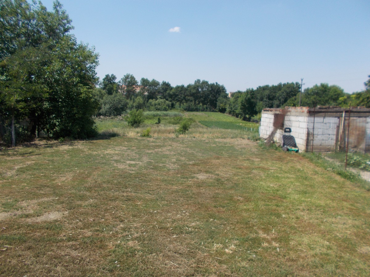 imobiliare timisoara