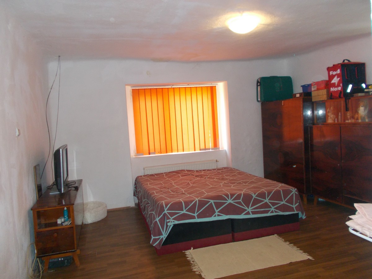 imobiliare timisoara
