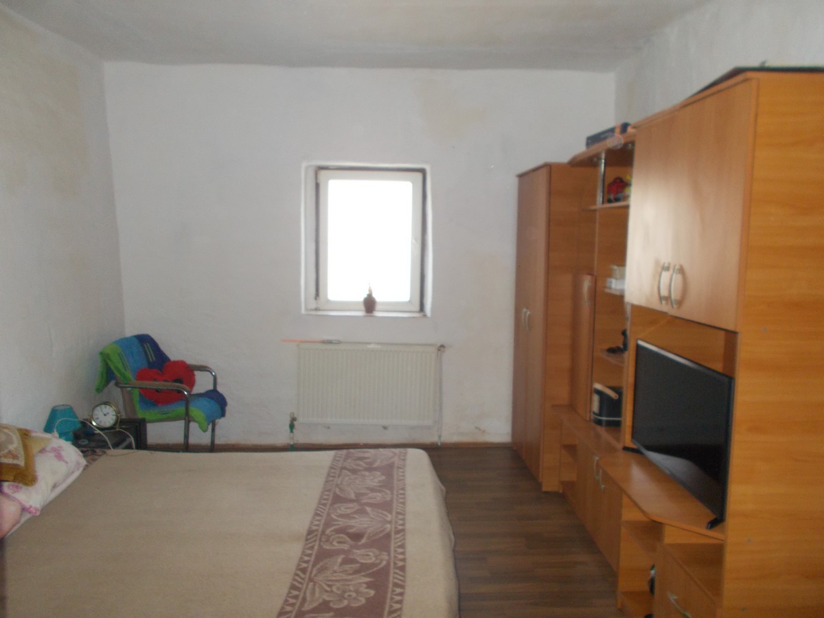 imobiliare timisoara