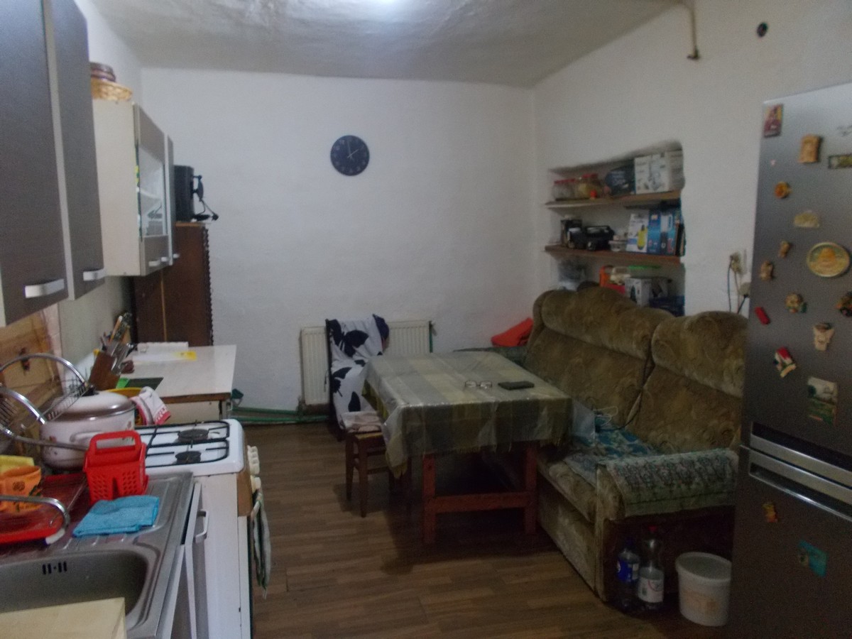imobiliare timisoara