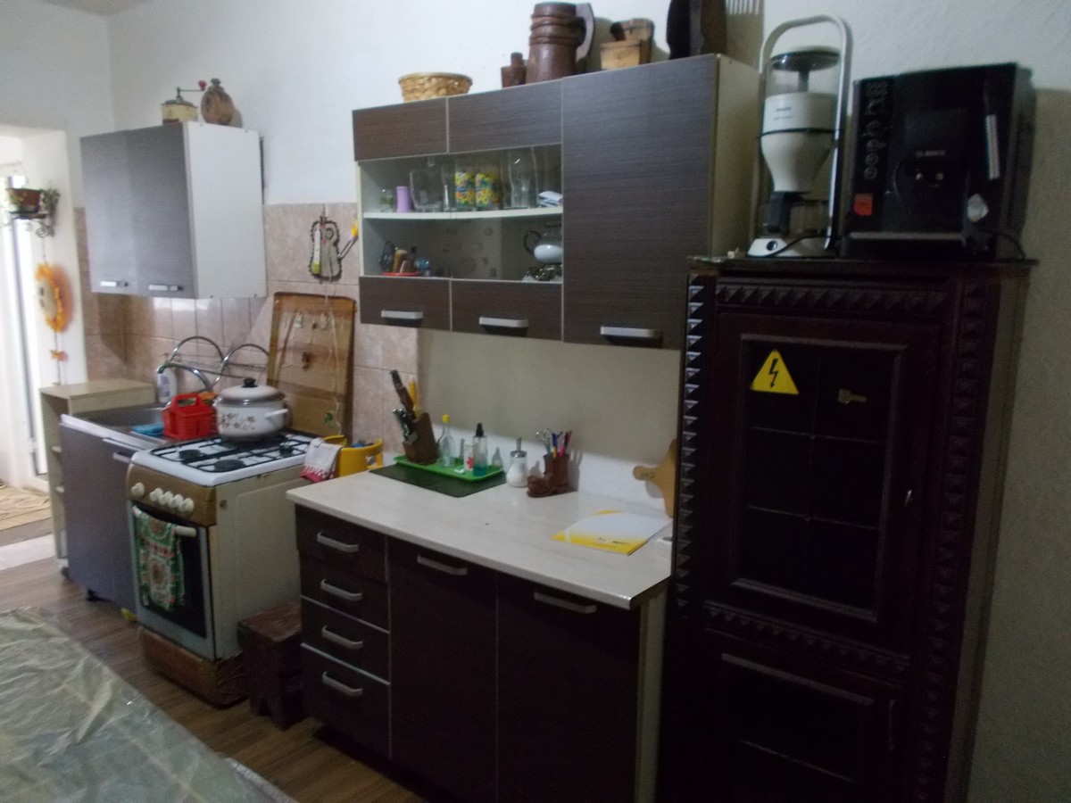 imobiliare timisoara