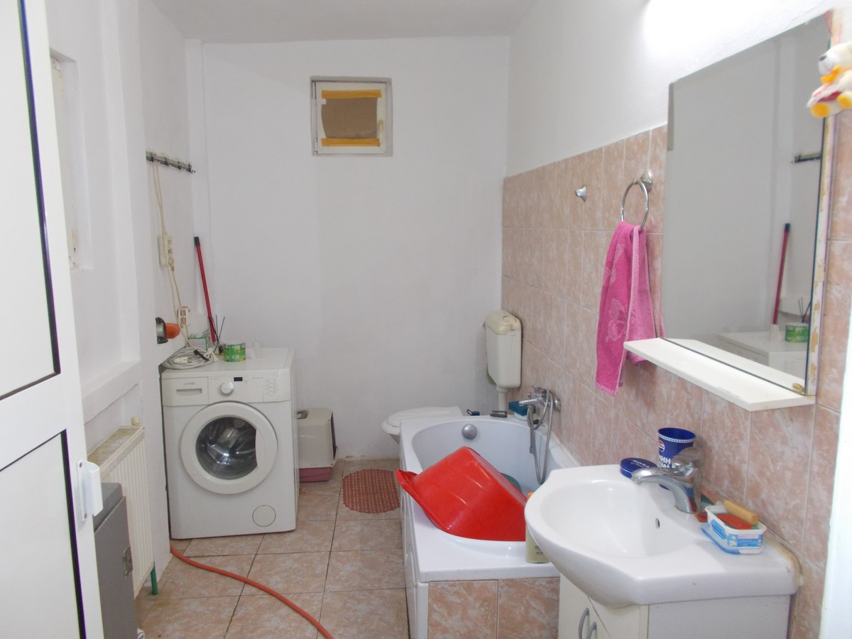 imobiliare timisoara