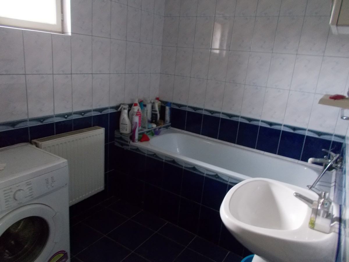 imobiliare timisoara