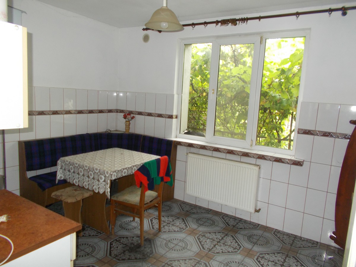 imobiliare timisoara