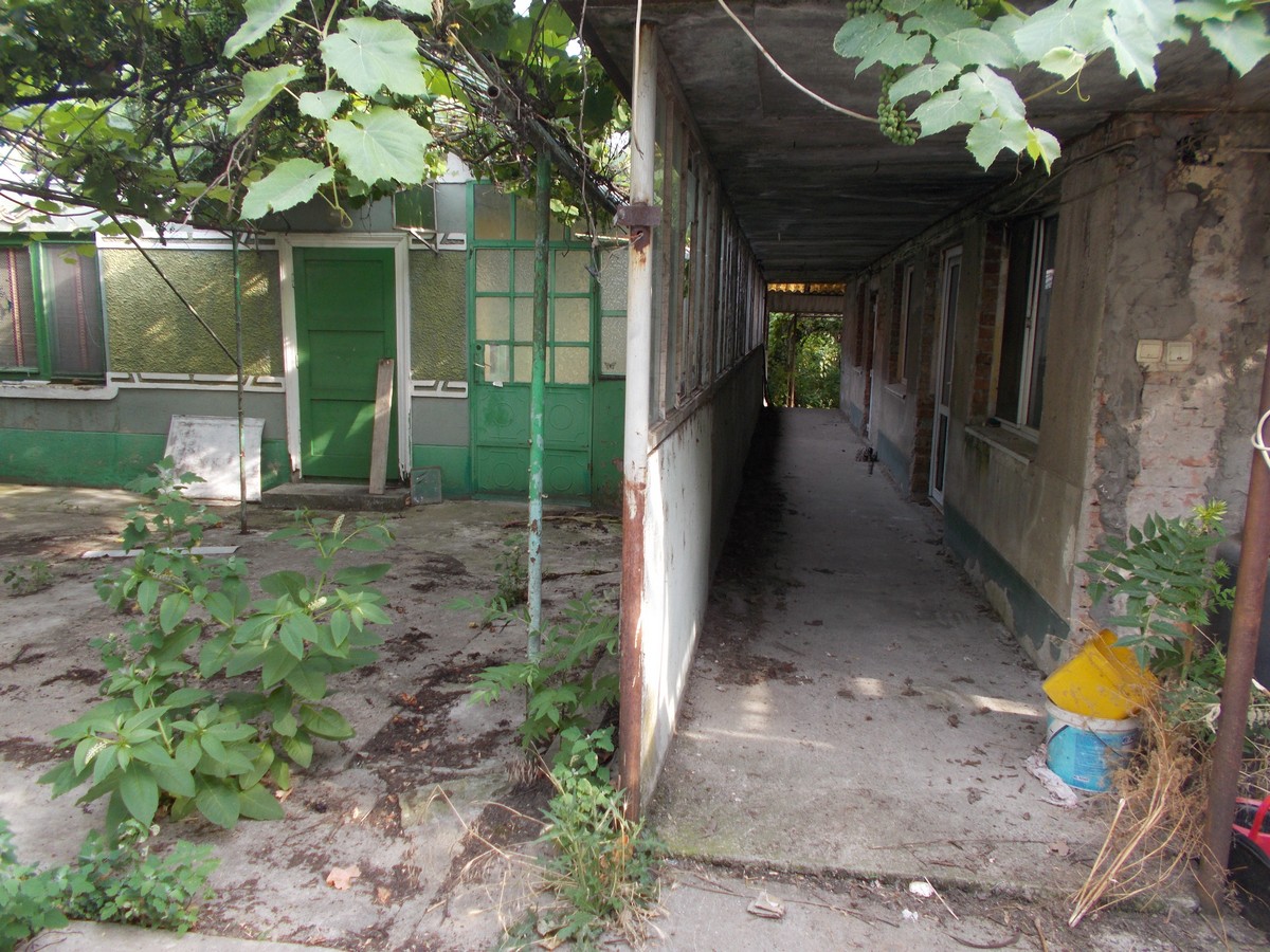 imobiliare timisoara