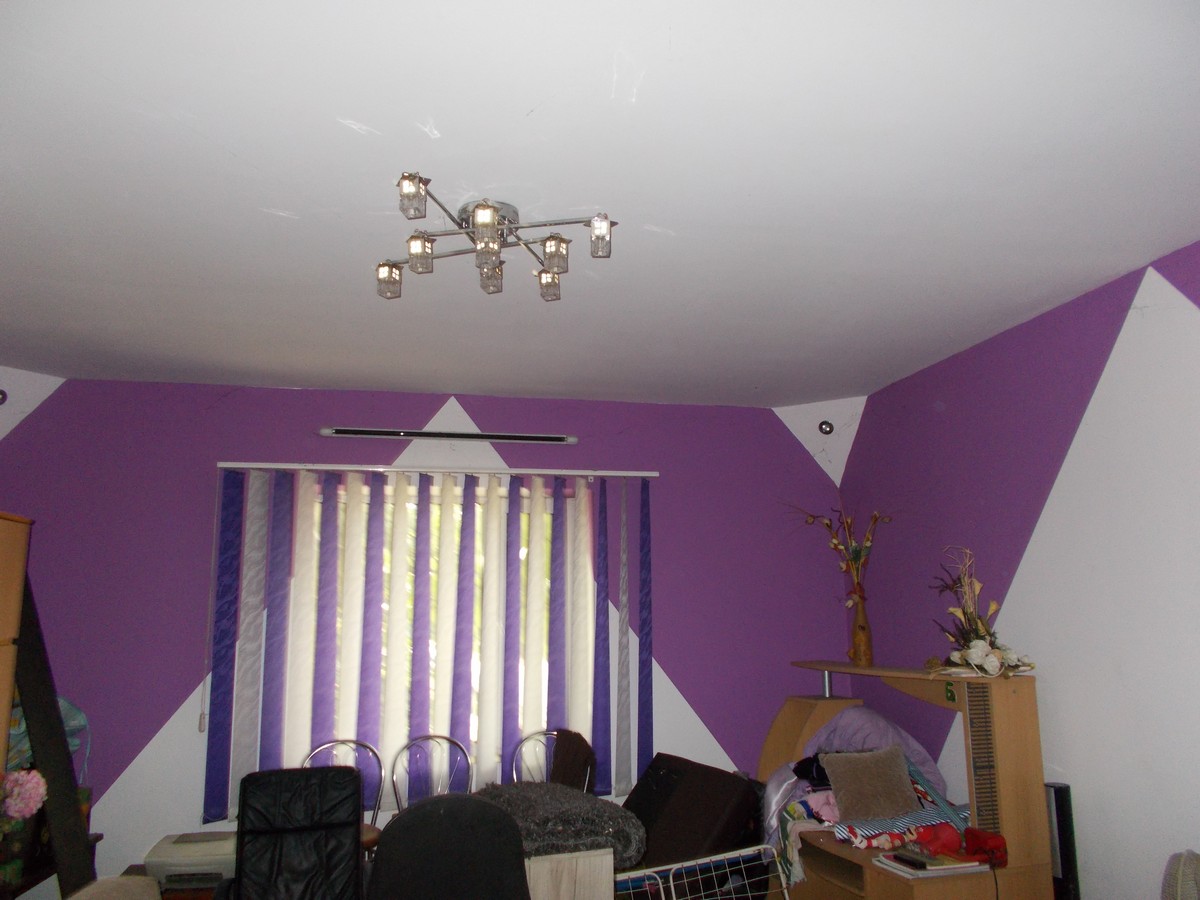 imobiliare timisoara