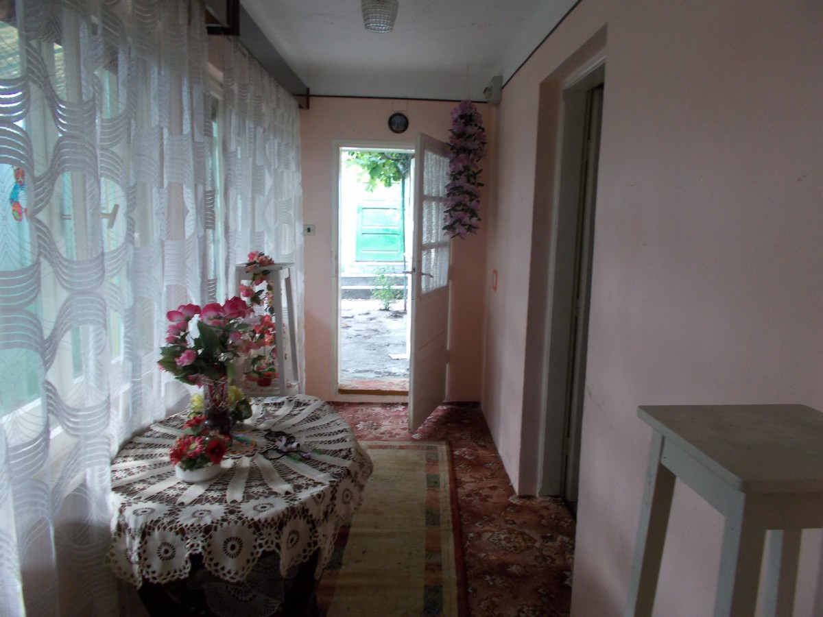 imobiliare timisoara