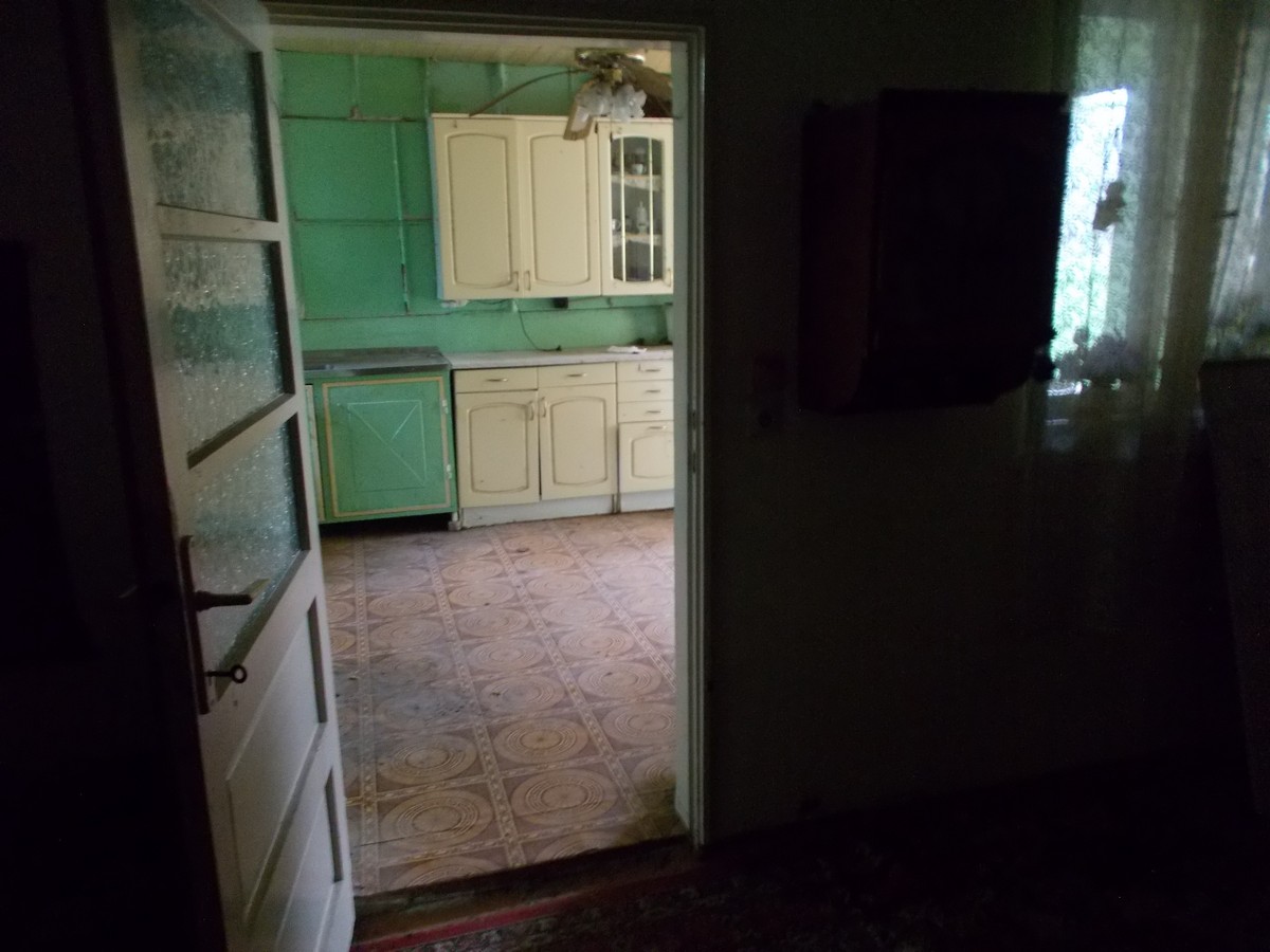 imobiliare timisoara