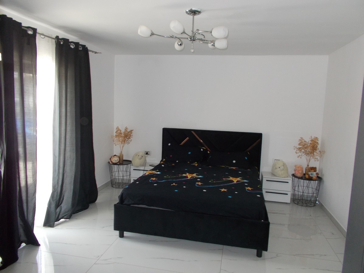 imobiliare timisoara