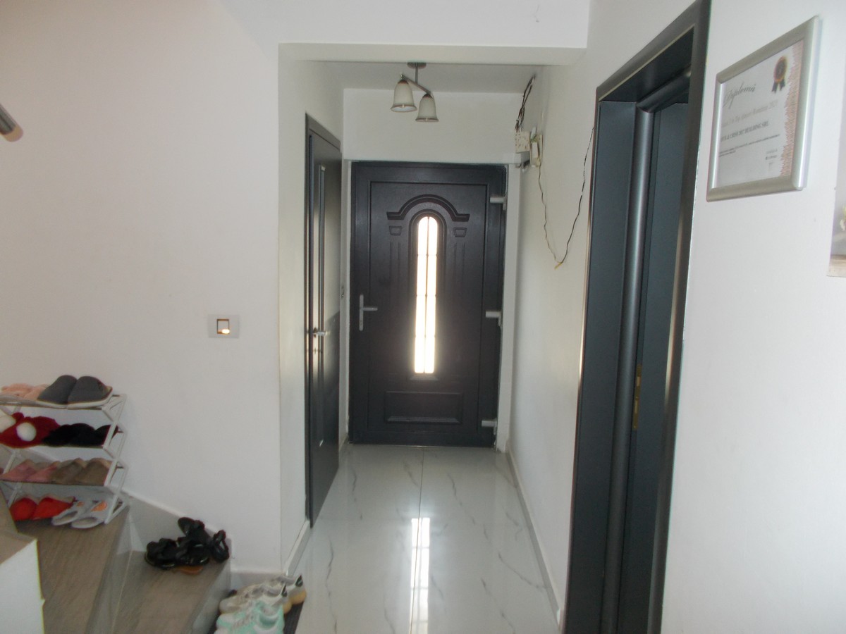 imobiliare timisoara