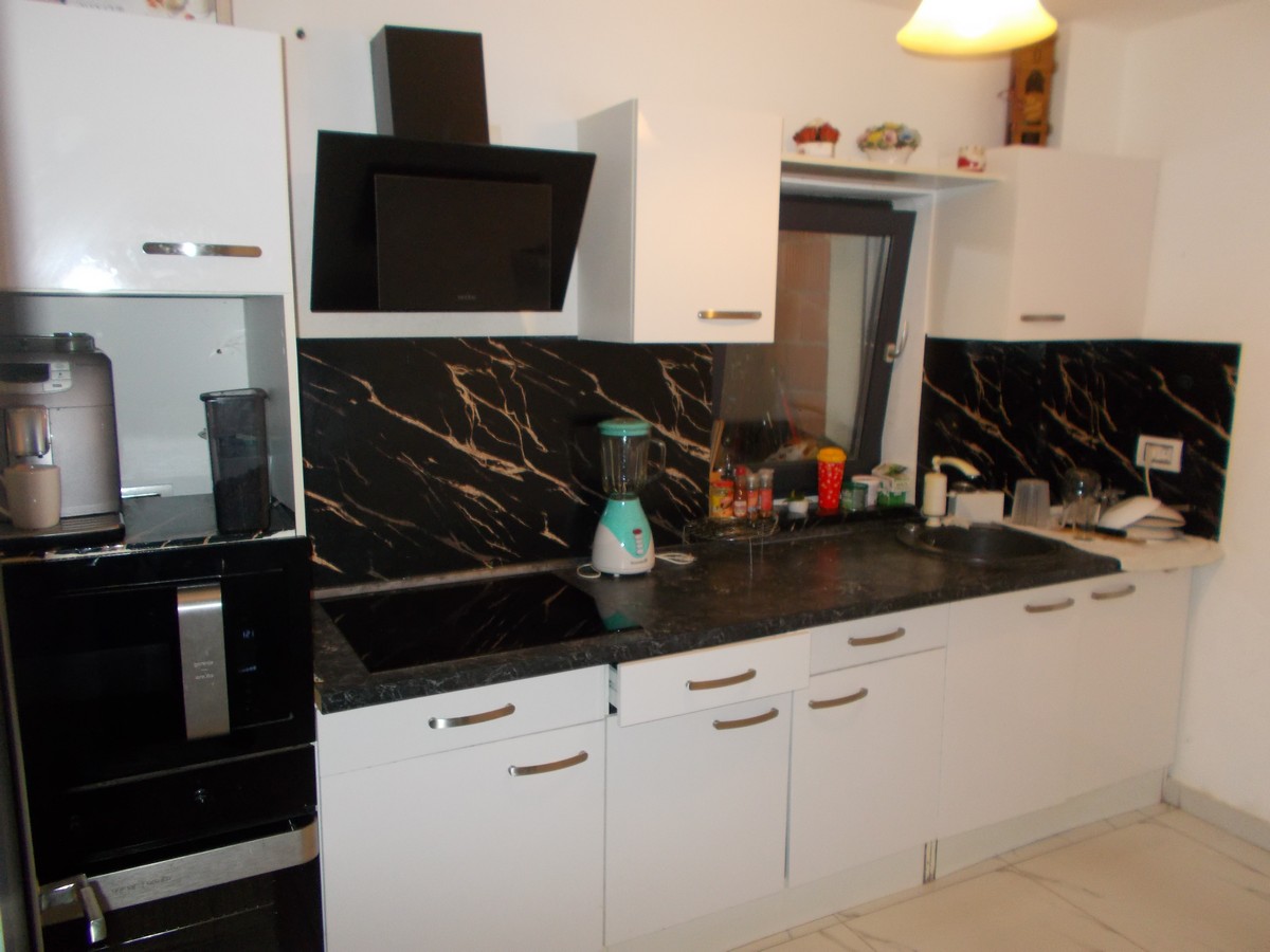 imobiliare timisoara